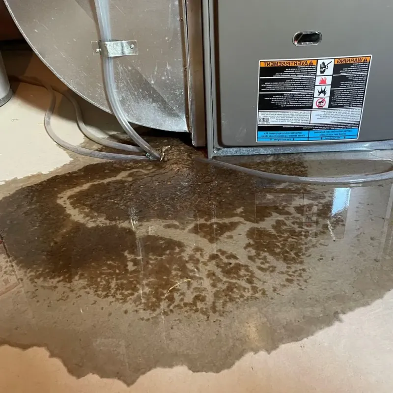 Pipe Burst and Leak Restoration in East Stroudsburg, PA